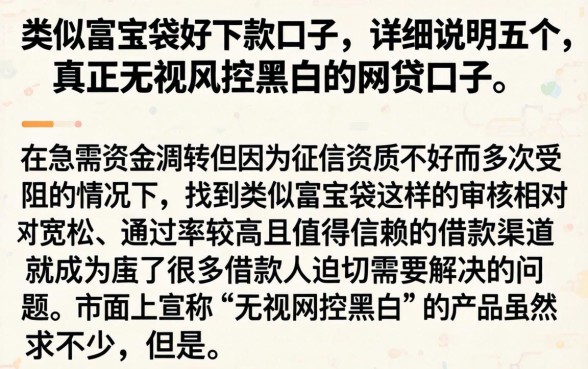 类似富宝袋好下款的口子，详尽说明五个真正无视风控黑白的网贷口子