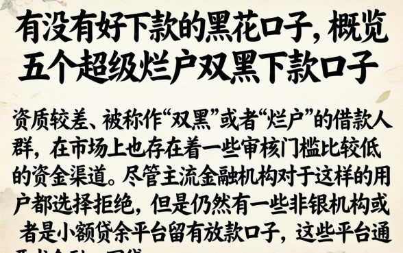 有没有好下款的黑花口子，概览五个超级烂户双黑下款口子