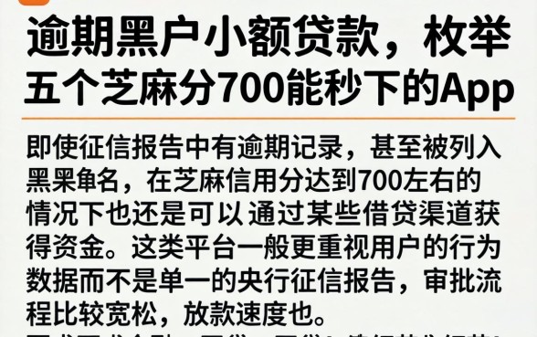 逾期黑户小额贷款，枚举五个芝麻分700能秒下的app