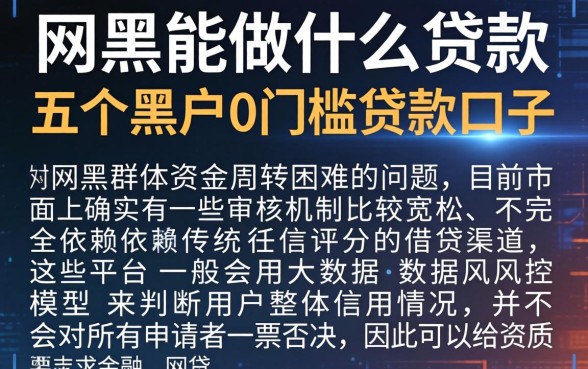 网黑能做什么贷款，详尽说明五个黑户0门槛贷款口子
