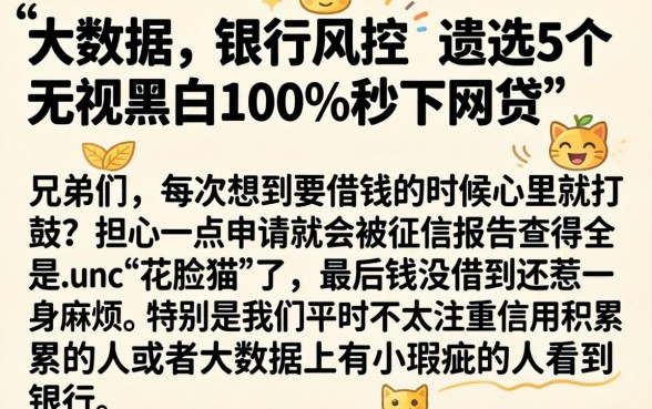 大数据 银行风控，遴选5个无视黑白100%秒下网贷