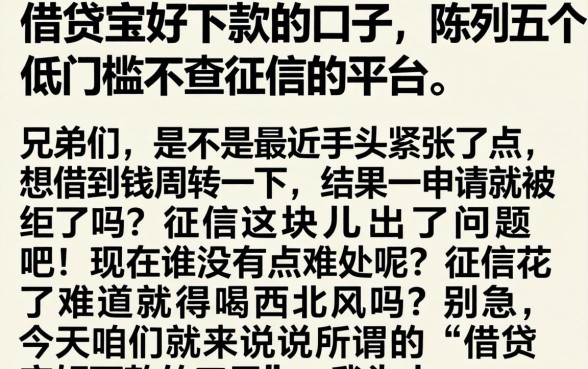 借贷宝好下款的口子，陈列五个低门槛不查征信的平台