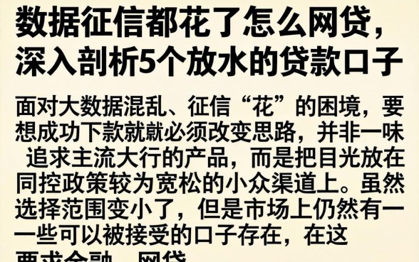 数据征信都花了怎么网贷，深入剖析5个放水的贷款口子