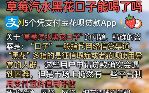 草莓汽水黑花口子能喝吗，罗列5个凭支付宝花呗贷款的app