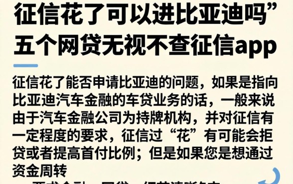 征信花了可以进比亚迪吗，详细阐述五个网贷无视不查征信app