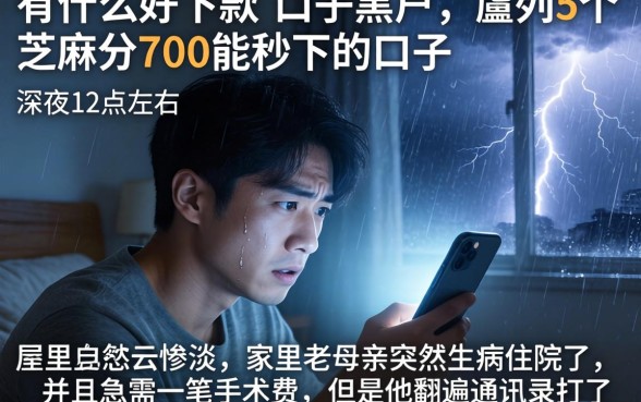 有什么好下款的口子黑户，胪列5个芝麻分700能秒下的口子