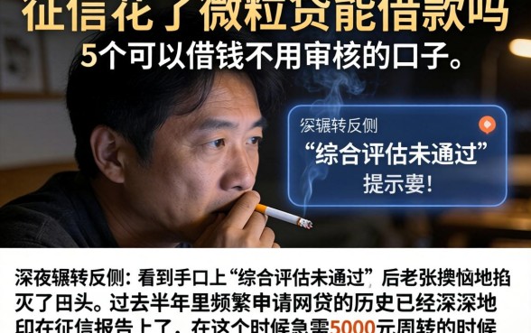 征信花了微粒贷能借款吗，详尽说明5个可以借钱不用审核的口子