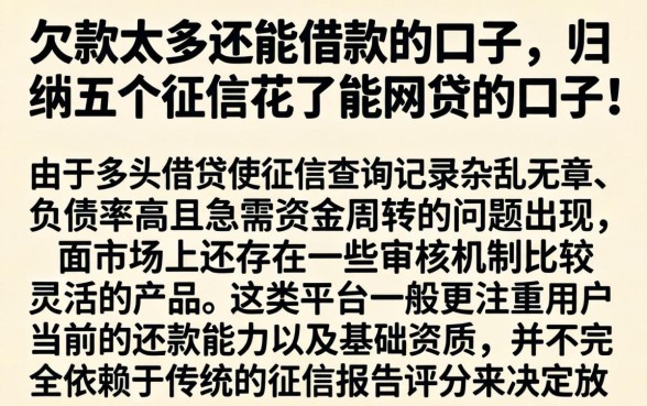 欠款太多还能借款的口子，归纳五个征信花了能网贷的口子