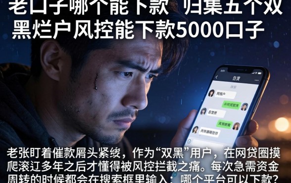 老口子哪个能下款，归集五个双黑烂户风控能下款5000口子