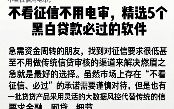 不看征信不用电审，精选5个黑白贷款必过的软件