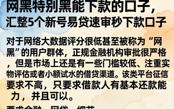 网黑特别黑能下款的口子,汇整5个新号易贷速审秒下款口子