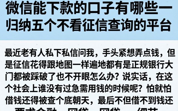 微信能下款的口子有哪些，归纳五个不看征信查询的平台
