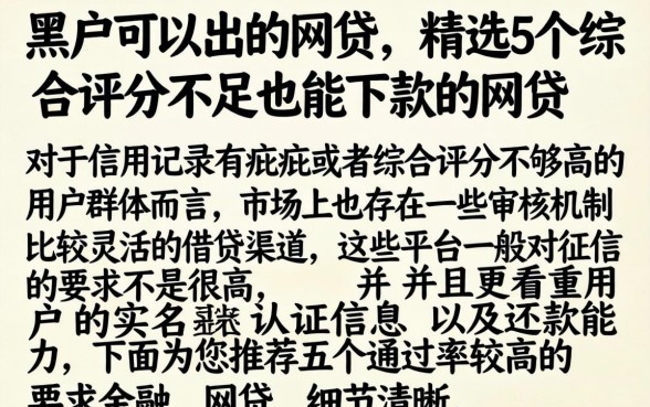 黑户可以出的网贷,精选5个综合评分不足也能下款的网贷