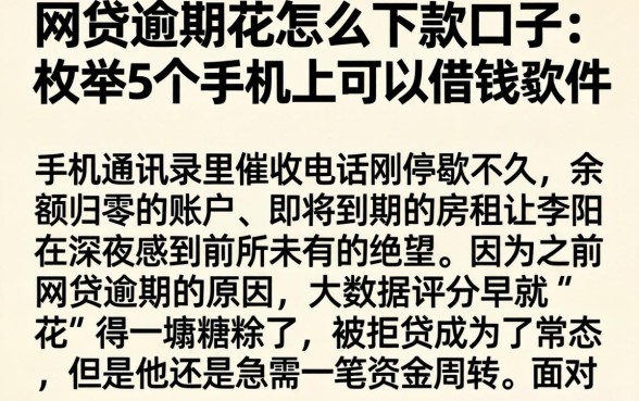 网贷逾期花怎么下款口子，枚举5个手机上可以借钱的软件