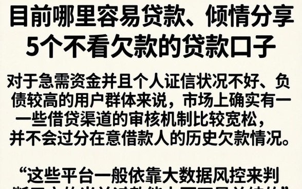 目前哪里容易贷款，倾情分享5个不看欠款的贷款口子