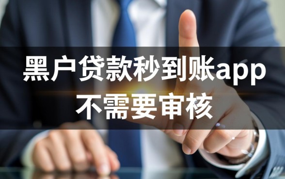 黑户贷款秒到账app不需要审核吗
