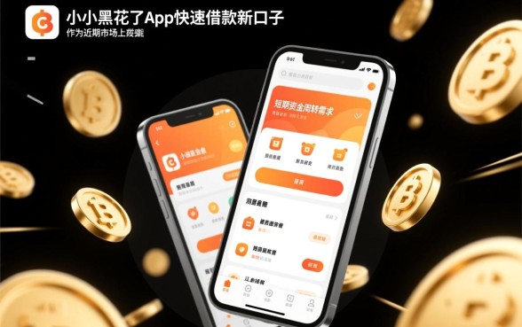 小额黑花了app快速借款新口子怎么申请