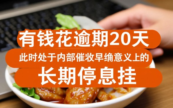 有钱花逾期20天怎么样才能协商