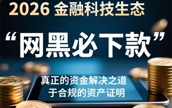 2026年网黑必下款的网贷口子有哪些