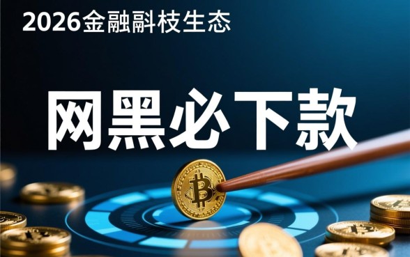 2026年网黑必下款的网贷口子有哪些