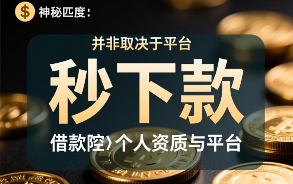 现在有什么网贷可以秒下款的口子