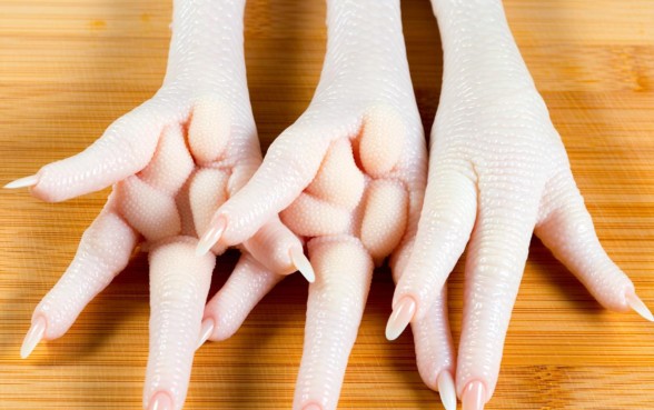 买的鸡爪子为啥爪子下边有个口子,鸡爪底部有洞能吃吗 买的鸡爪子为啥爪子下边有个口子