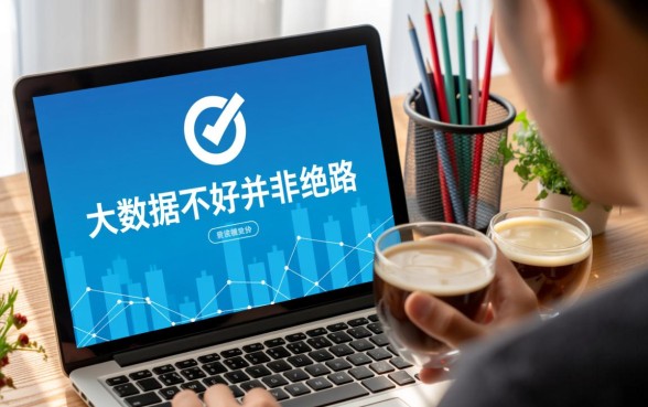 有没有大数据不好能下的分期口子