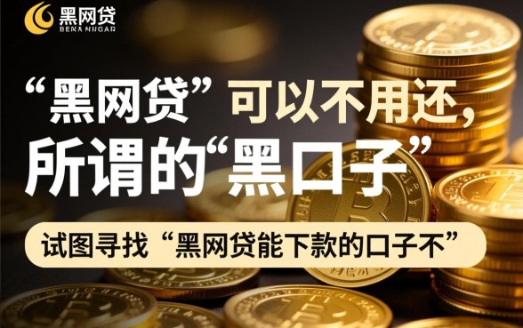 黑网贷能下款的口子不用还吗