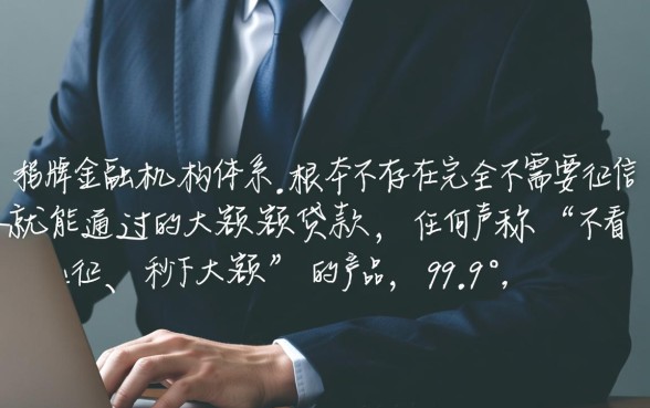 什么贷款不需要征信能通过大额度