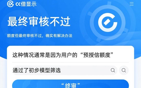 融e借有额度但审核不过有办法吗