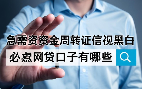 无视黑白必下款的网贷口子有哪些