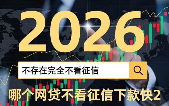 哪个网贷不看征信下款快2026
