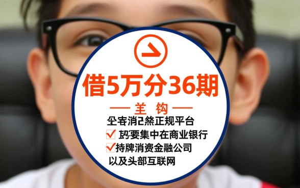 借5万分36期的正规平台有哪些