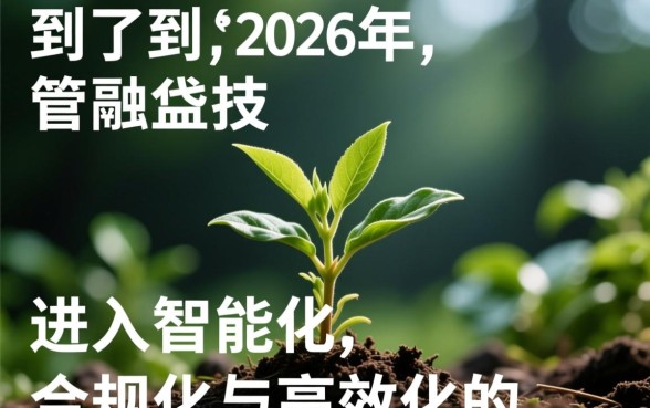 1000元借款秒过平台2026有哪些