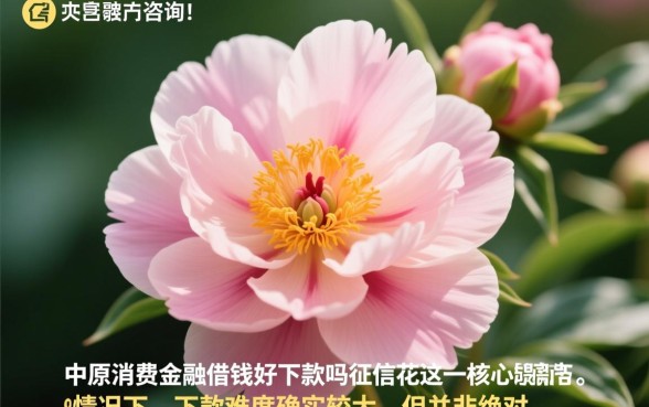 中原消费金融借钱好下款吗,征信花能申请通过吗 中原消费金融借钱好下款吗