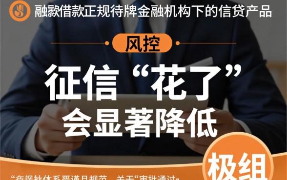 极融借款怎么样征信花了能通过吗