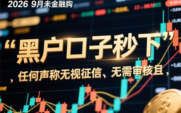 黑户口子秒下的有吗20269月
