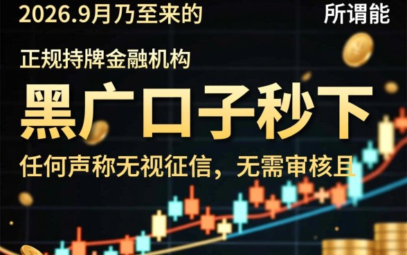黑户口子秒下的有吗20269月