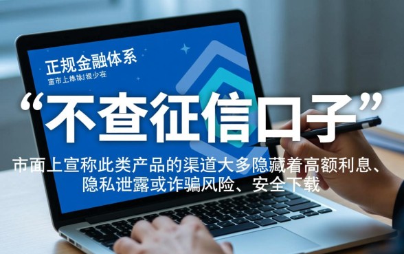 2026最新不查征信口子是真的吗