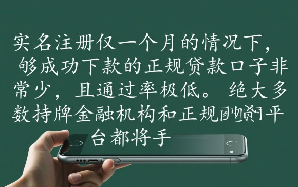 手机实名一个月能下款的口子有吗,手机实名多久能下款 手机实名一个月能下款的口子有吗
