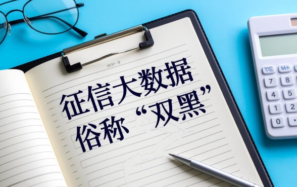 2026双黑能下的分期大额口子有哪些,哪里申请容易通过? 2026双黑能下的分期大额口子有哪些