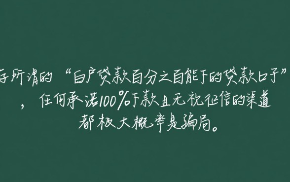 白户贷款百分之百能下吗