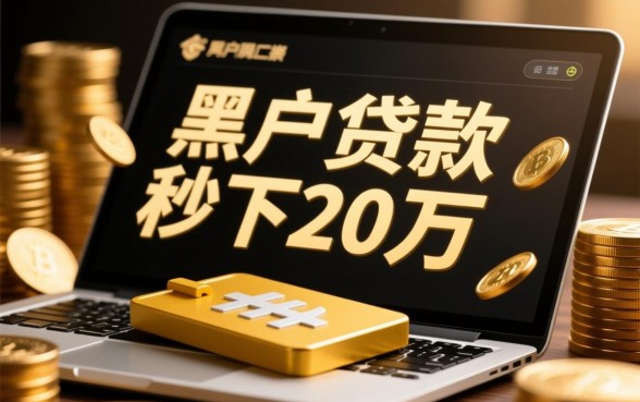 2026哪里有黑户秒下20万口子