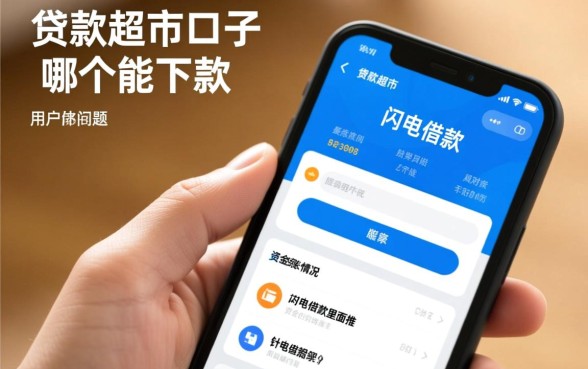 闪电借款里面推的口子哪个能下款
