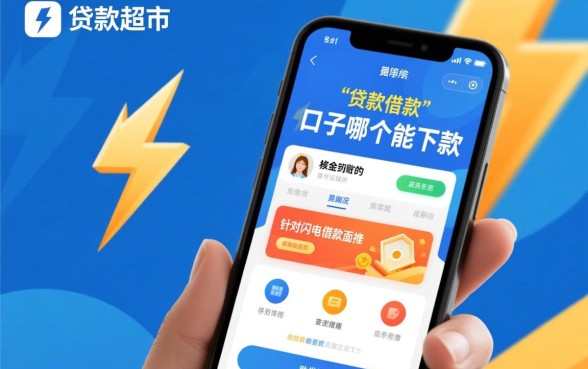 闪电借款里面推的口子哪个能下款