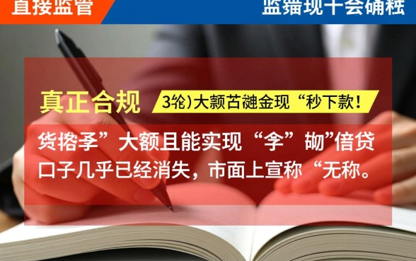 现在还有没有大额立马下款的口子