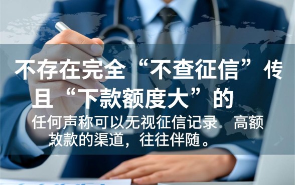 有没有什么不查征信下款多的口子