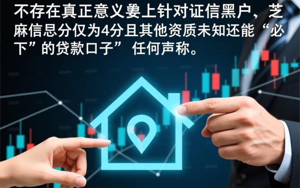 黑户芝麻分4必下口子有哪些