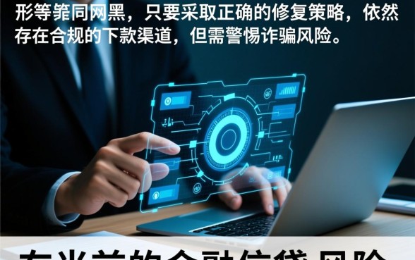 大数据花了还是网黑能下款吗