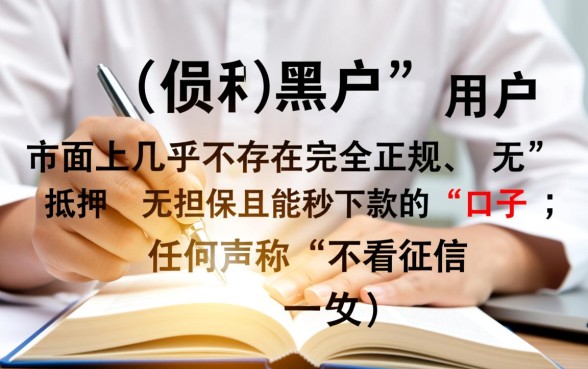 2026年不用审核的网贷哪里有